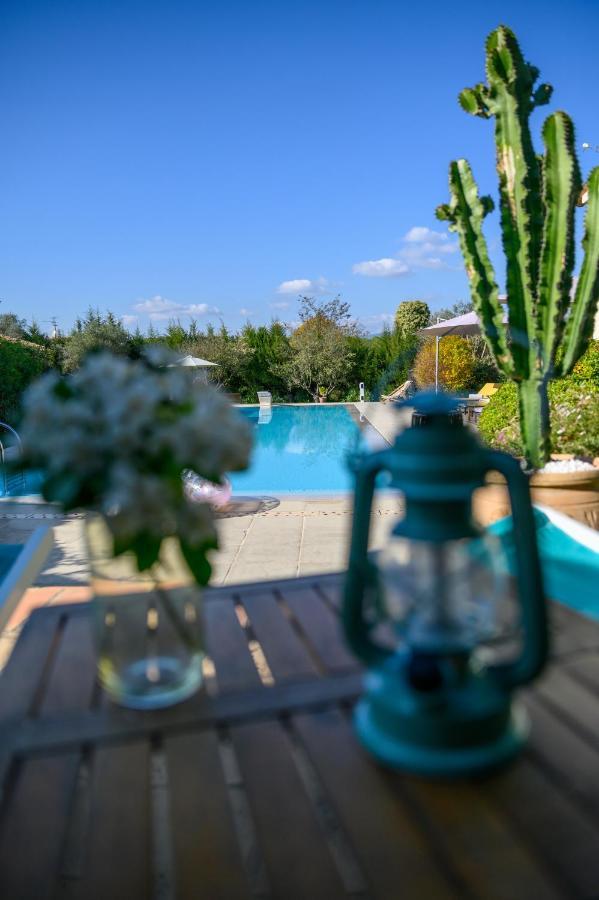 Bed and Breakfast Le Mas De La Source Mougins Zewnętrze zdjęcie