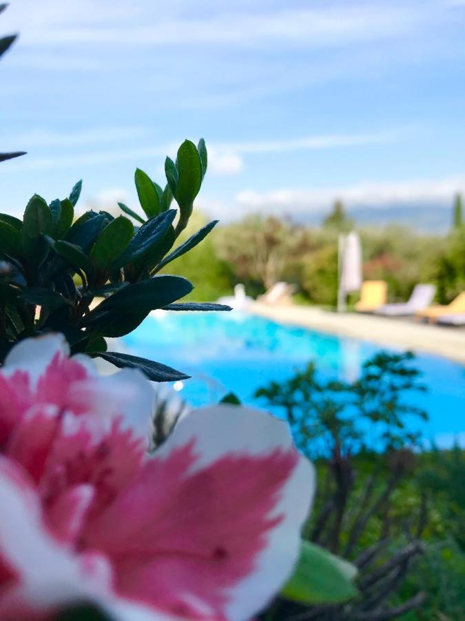 Bed and Breakfast Le Mas De La Source Mougins Zewnętrze zdjęcie