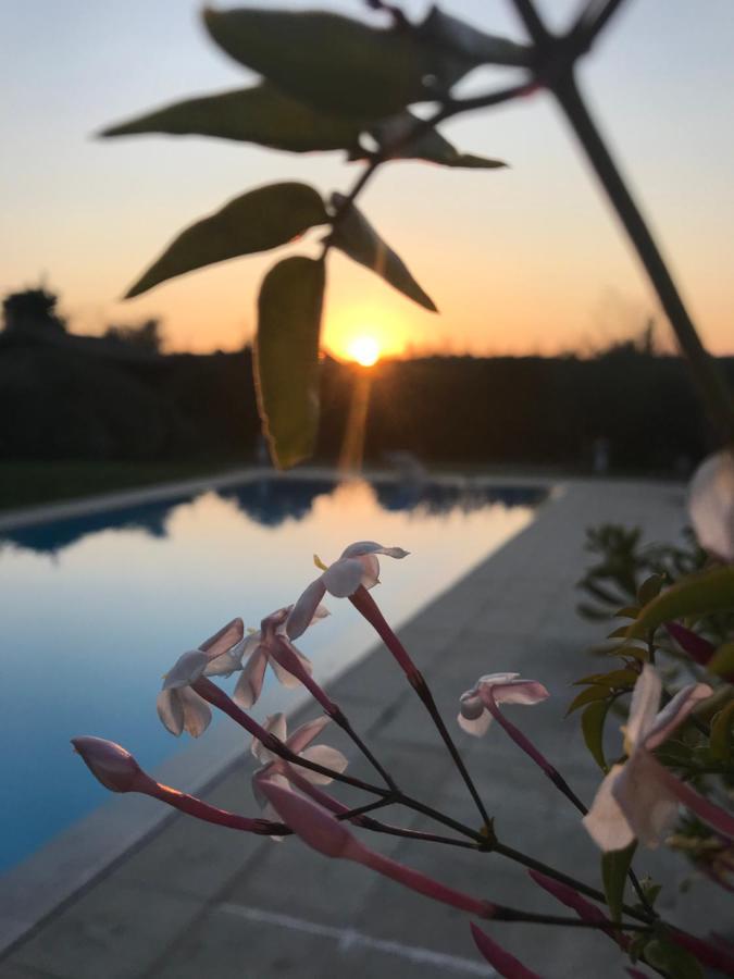 Bed and Breakfast Le Mas De La Source Mougins Zewnętrze zdjęcie